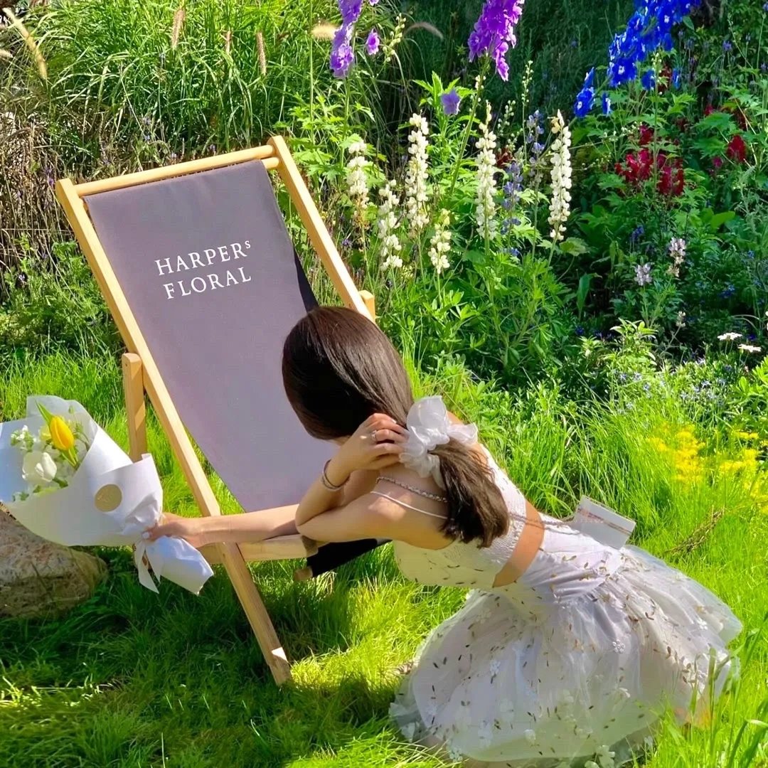 星际旅行：进取号 第三季